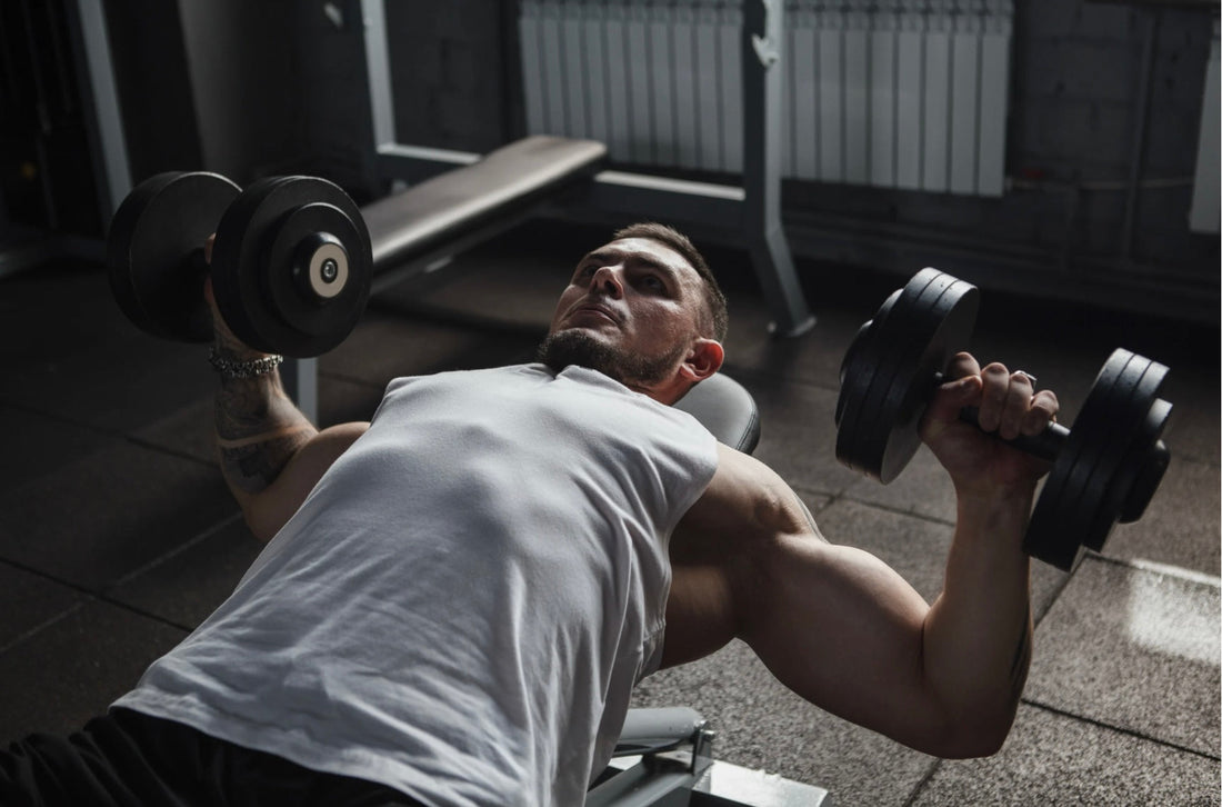 A Importância da Massa Muscular para a Saúde e Qualidade de Vida